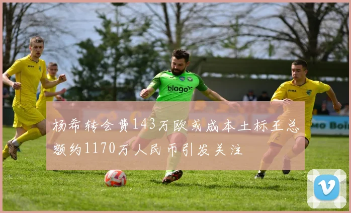 杨希转会费143万欧或成本土标王总额约1170万人民币引发关注