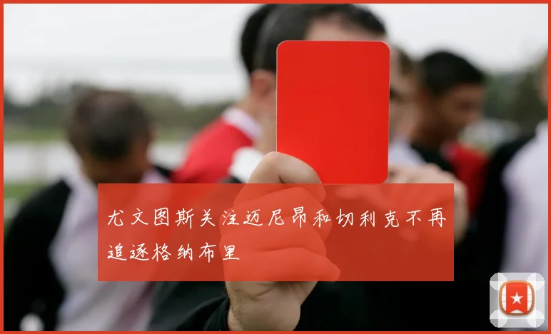 尤文图斯关注迈尼昂和切利克不再追逐格纳布里