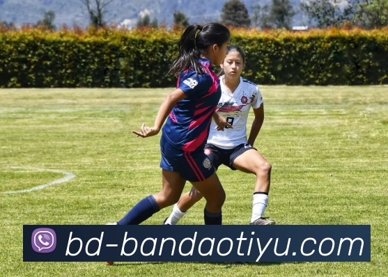 半岛体育服务体系