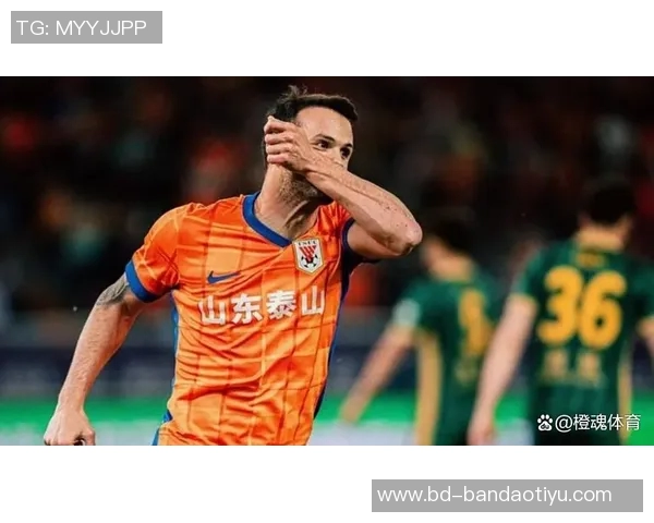 山东泰山与上海海港巅峰对决携手共创辉煌梦想之战